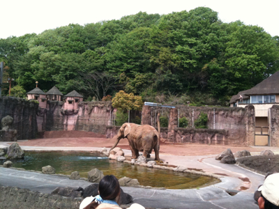 多摩動物公園