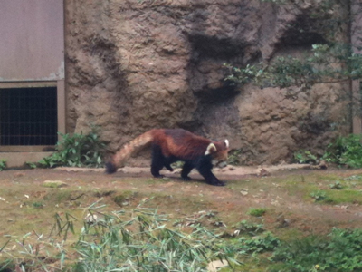 多摩動物公園