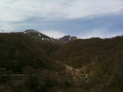 つつじ吊橋