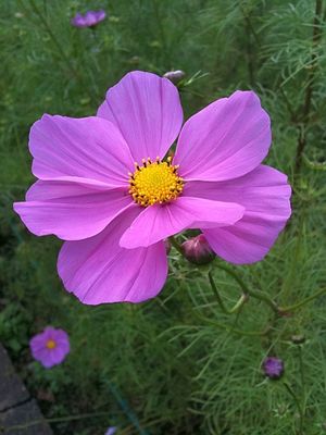 Photo_10120014 Photo_10120014