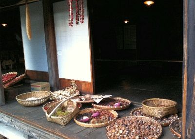 Photo_10120016 Photo_10120016
