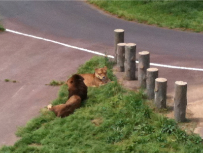 多摩動物公園