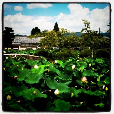 2011京都旅行で撮影した写真