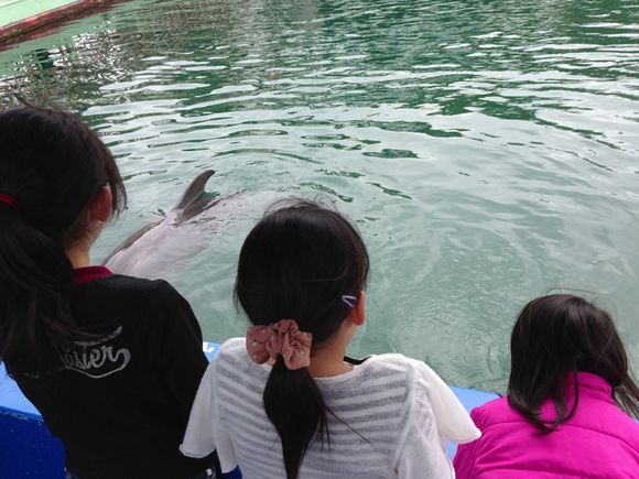 下田海中水族館