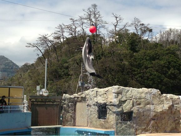 下田海中水族館