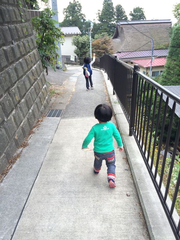 ハイキング（御岳山〜日の出山）